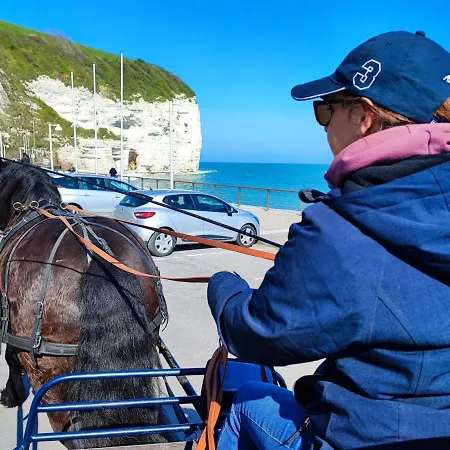 Eco-Gite Le Vanneur *