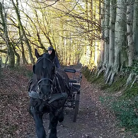 Eco-gite Le Vanneur Mentheville
